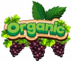 Free vector font design for word organic with fresh grapes