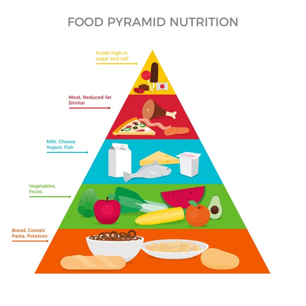 음식과 다이어트 피라미드