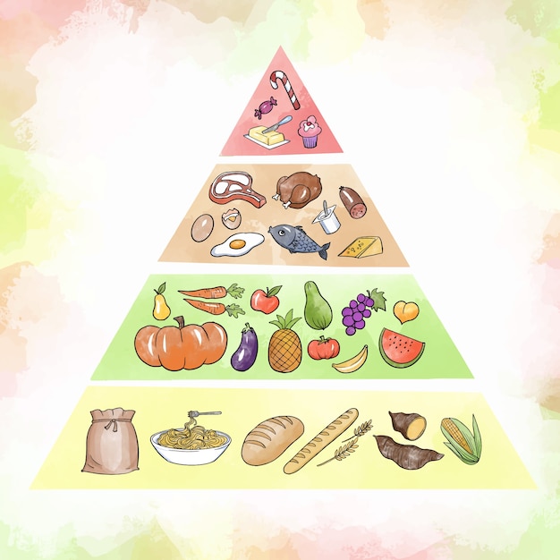 Food essentials in nutrition pyramid