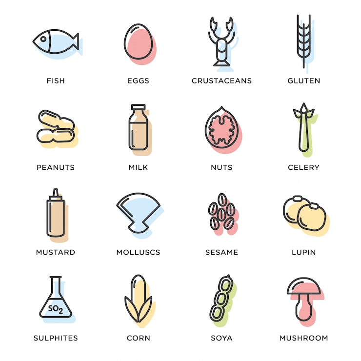 Free Vector food icons collection