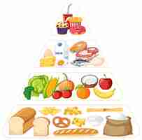 Free vector food nutrition groups pyramid