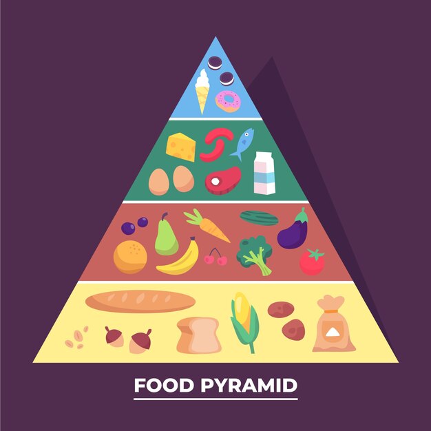 Food pyramid concept