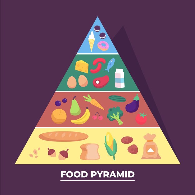 음식 피라미드 개념