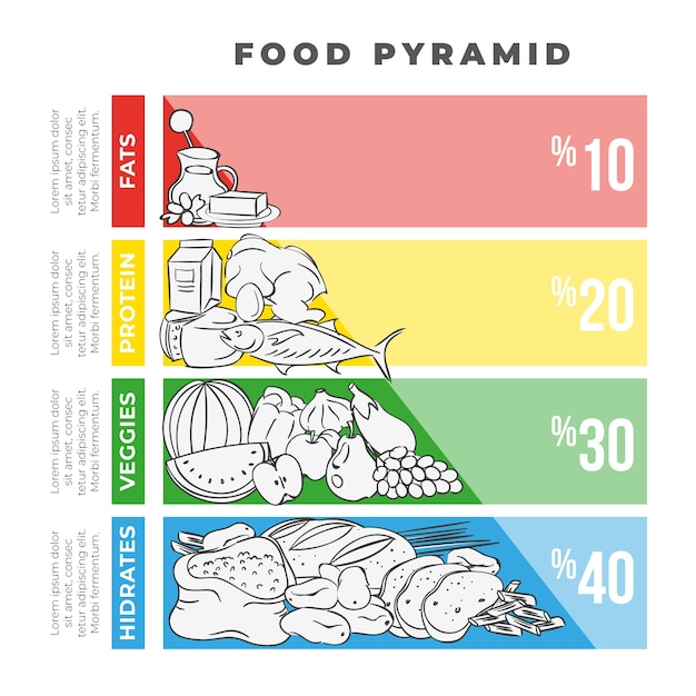 Бесплатное векторное изображение Концепция пищевой пирамиды