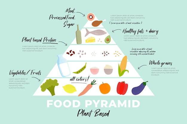 Free vector food pyramid infographic template