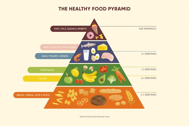 Vettore gratuito concetto di nutrizione della piramide alimentare