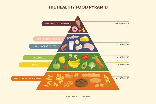 food pyramid nutrition concept