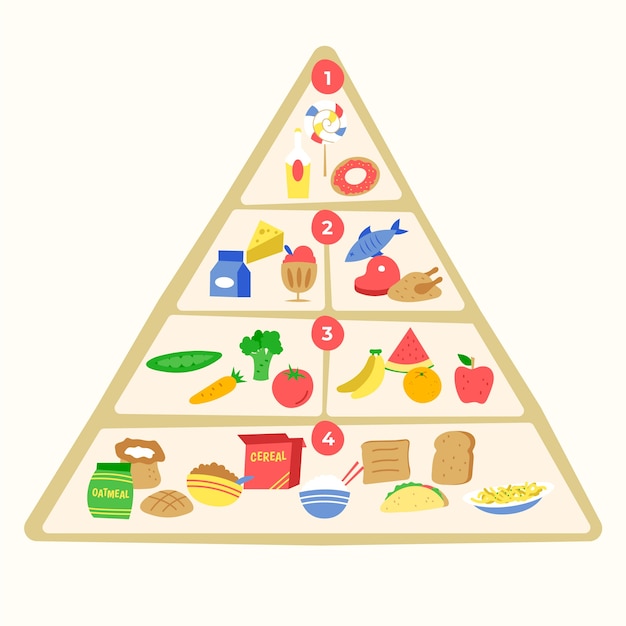 Free vector food pyramid nutrition