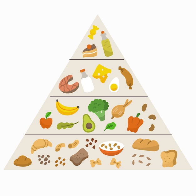 Free vector food pyramid nutrition