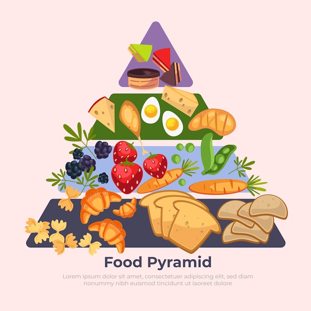 食品ピラミッドスタイルの栄養の概念