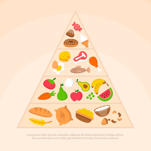 Free vector food pyramid types of healthy nutrition