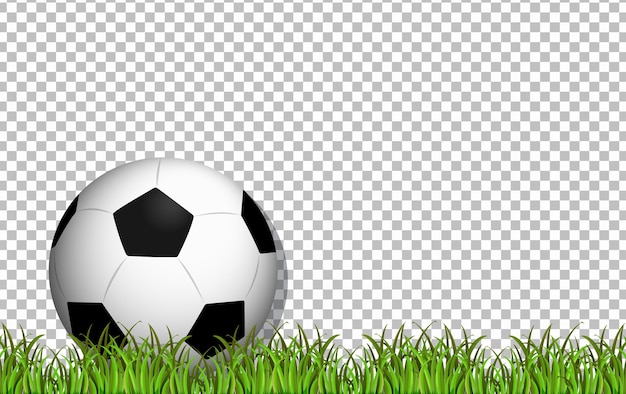 Free vector football and grass on transparent background