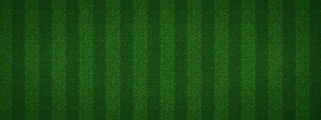 football green grass stadium texture top view