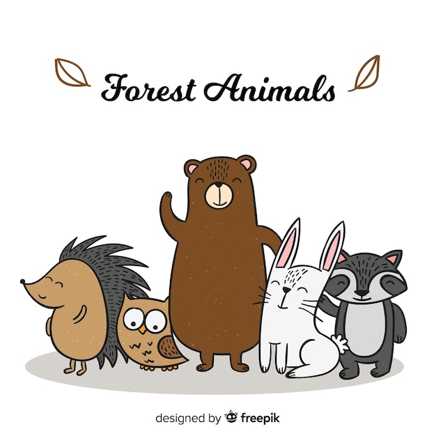 숲 동물 모음