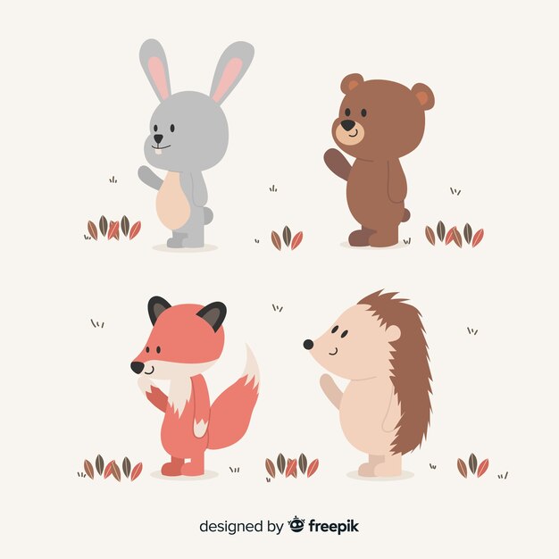 Forest animals collection