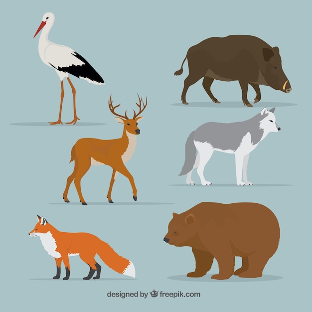 Free vector forest animals set in realistic style