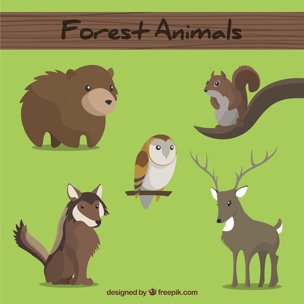 Animali della foresta