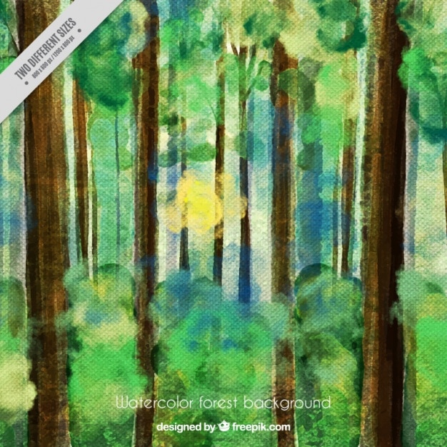 Free vector forest background in watercolors