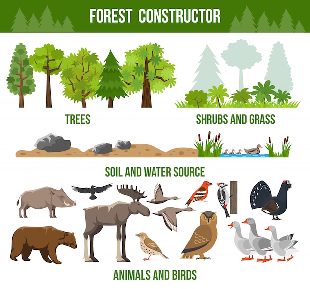 Free vector forest constructor poster