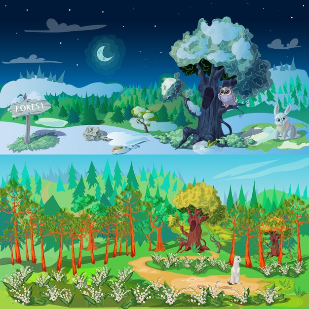 Forest Elements illustration Set