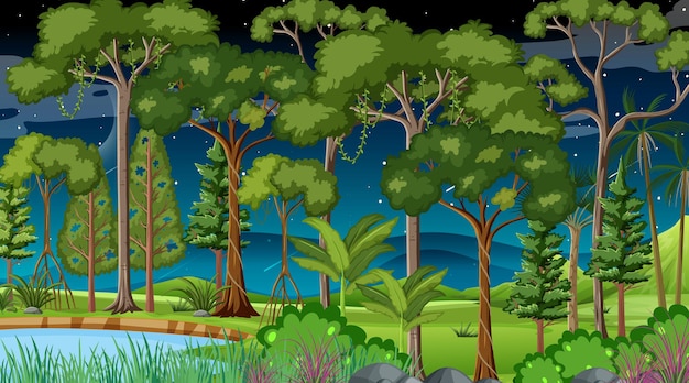 Forest landscape scene at night with many different trees