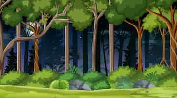 Free vector forest landscape scene at night with many trees