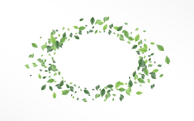 Premium Vector | Forest leaf motion white background template