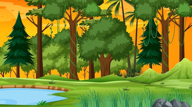 Free vector forest nature scene with pond and many trees at sunset time