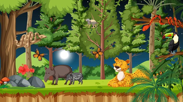 Forest at night scene with different wild animals