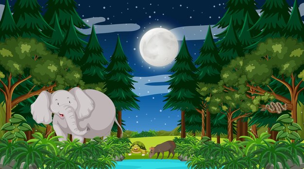 Лес в ночное время, сцена с большим слоном и другими животными