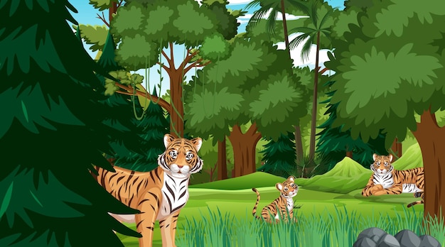 Forest or rainforest scene with tiger family