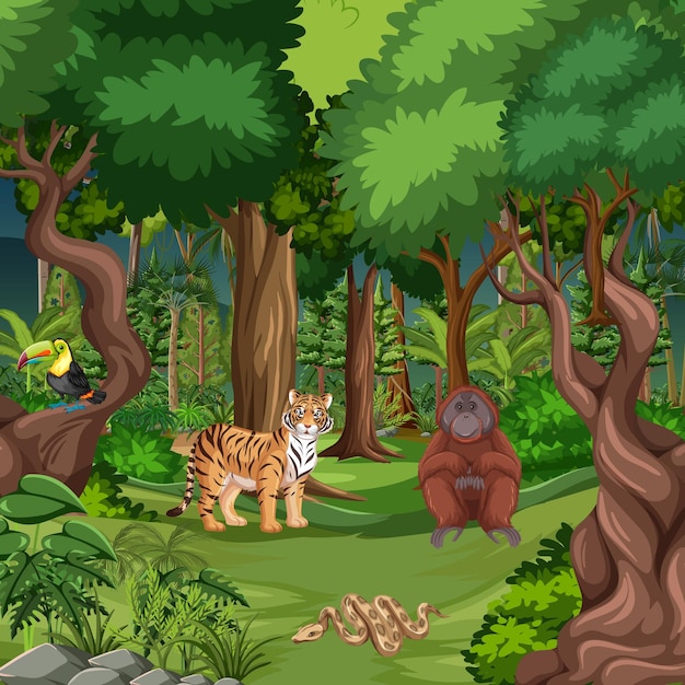 Forest scene with different wild animals