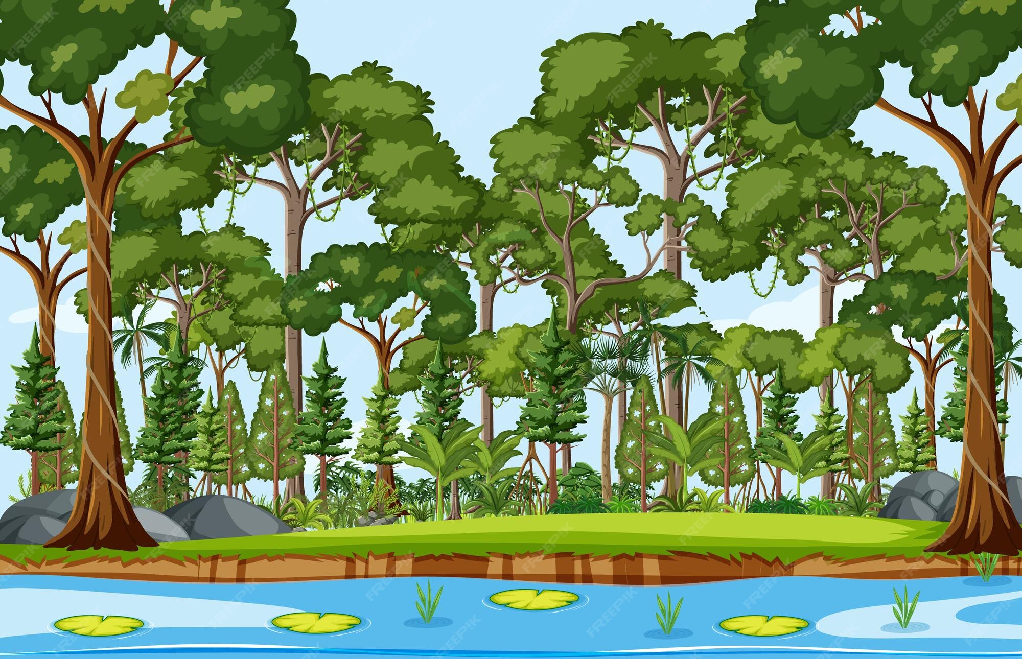 Rainforest Canopy Clipart