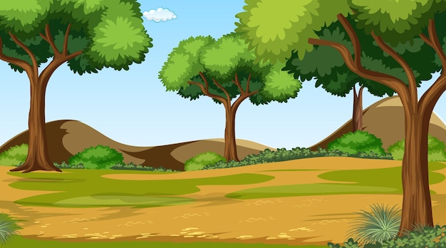 Лесная сцена с различными лесными деревьями