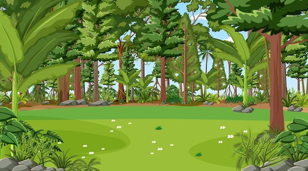 Лесная сцена с различными лесными деревьями