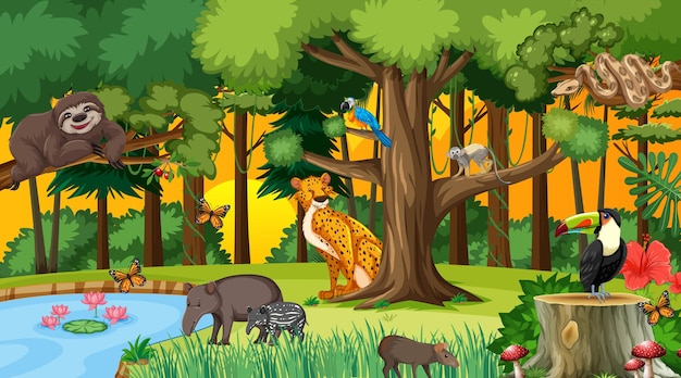 Forest at sunset time scene with different wild animals