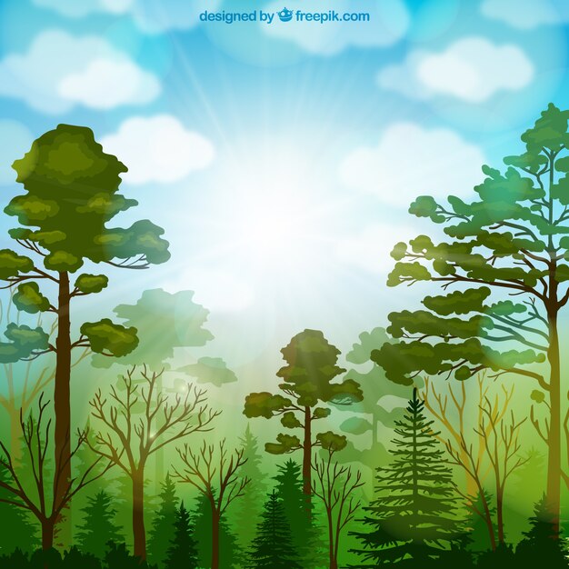 Forest vegetation