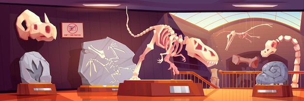 Free vector fossil dinosaur skeletons in museum of history archaeology and paleontology science prehistoric museum interior with exhibits of ancient animals bones and dino footprint vector cartoon illustration