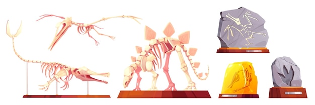 무료 벡터 화석 트리세라스 (fossil triceratops) 와 페테로다크스 (pterodactyl) 터 골격 (vector skeleton on pedestal) - 고생물학, 만화, 터 아이콘 세트, 박물관 돌 공 발자국 일러스트레이션,  클리퍼트 컬렉션과 함께 고립된 발굴 두개골