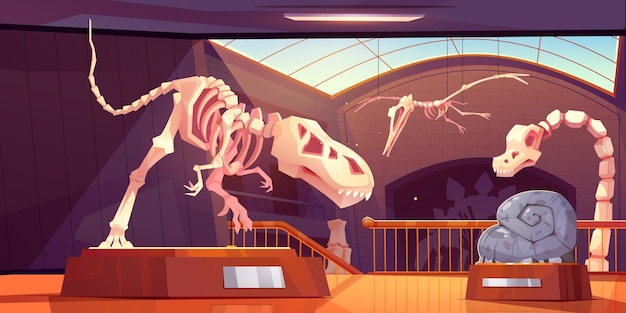 Free vector fossil tyrannosaurus dinosaur skeleton in museum cartoon vector ancient exhibit archaeology interior room with pedestal and flying pterodactyl bone in gallery near window prehistory animal discovery