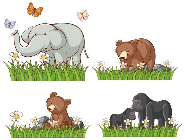 Free vector four animals in garden