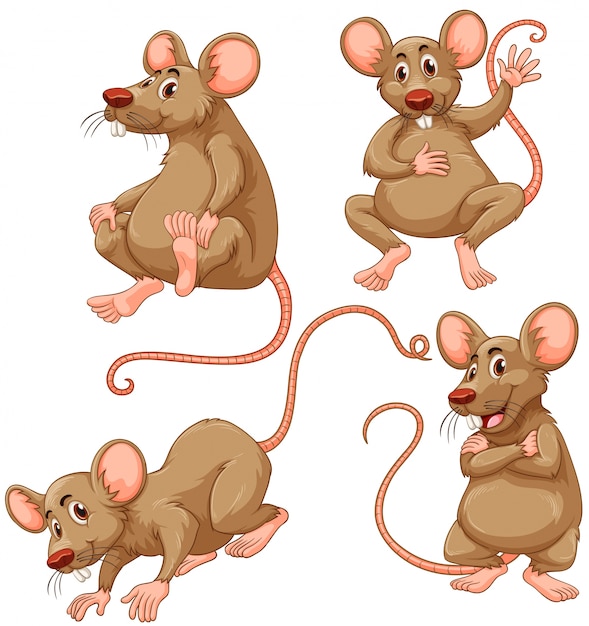 4つの茶色のマウス、白背景イラスト