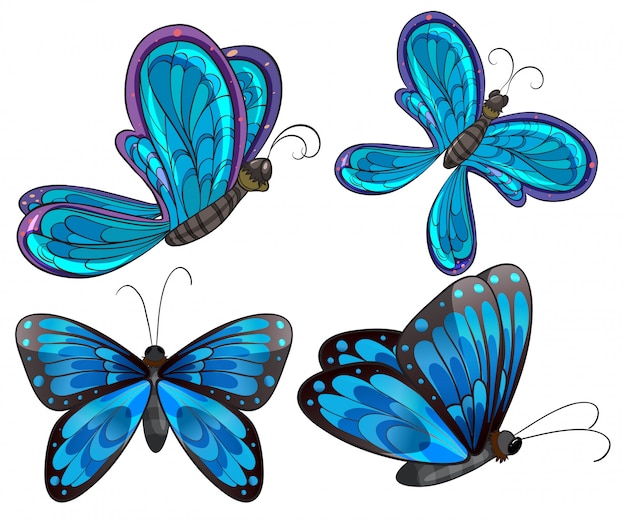 Four butterflies