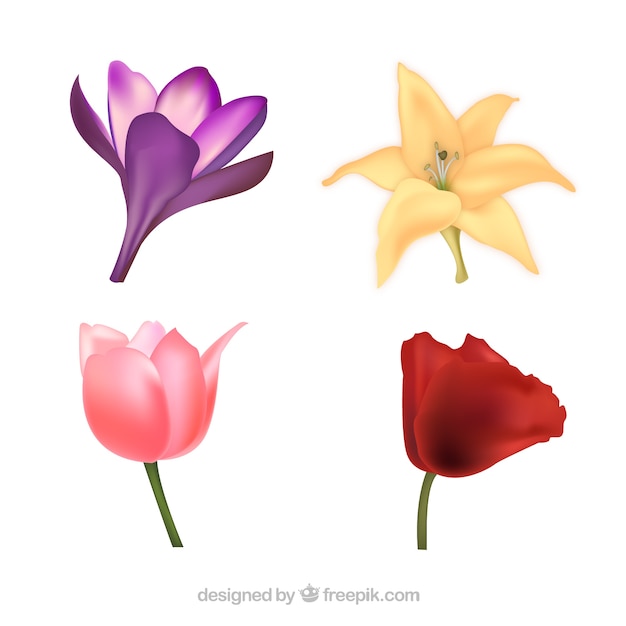 Free vector four cute flowers