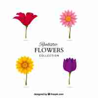 Free vector four different flowers