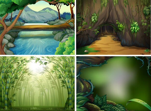 Four different forest scenes