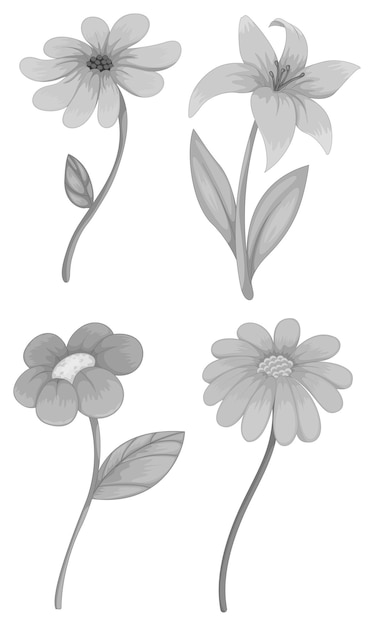 Free vector four different kind of flowers