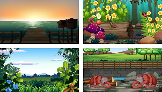 Four different nature horizontal scene