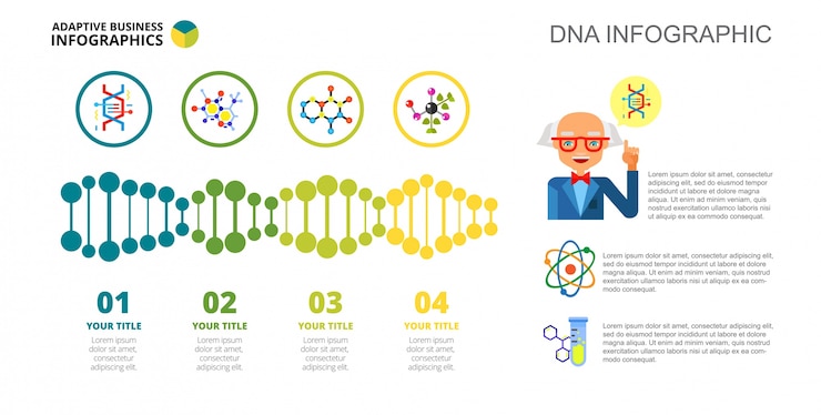 Free Vector four dna options slide template