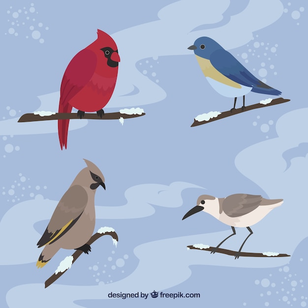 Four elegant birds on branches with snow